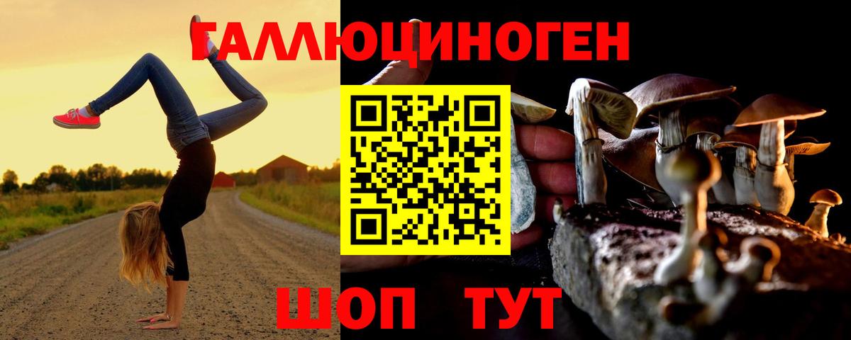 Пыть-Ях  Галлюциногенные грибы мицелий  Вход с VPN 